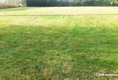 Teren intravilan, Front 31m,  Salicea - 1