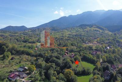 Teren intravilan 1300 mp | Vedere Piatra Craiului | Bran Poarta - 5