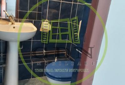 Spatiu Comercial Sibiu - 20