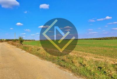 Teren 9Ha -> 16Ha Ha Intravilan , Exit A3 Snagov Ghermanesti Bucuresti-Ploiesti - 9