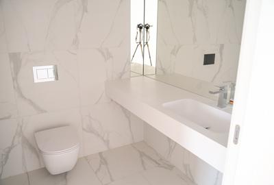 SPATIU COMERCIAL -  FLOREASCA / FABRICA DE GLUCOZA - 543 MP - 14