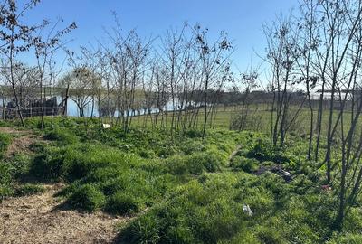 Teren Construcții intravilan de 784 mp, în Butimanu