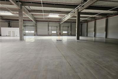 Spațiu industrial, 1800 mp în Sud