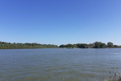 OCAZIE : INTRAVILAN com. MURIGHIOL - 19 euro/m.p. Deschidere Dunare  74 m. - 2