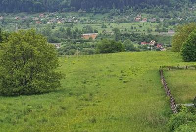 Teren Bisericani lângă Piatra Neamţ