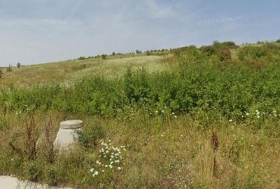 Teren arabil de vânzare — Parcele 1.000–50.000 MP Răscruci - 1