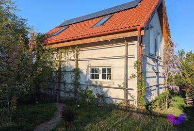 Casa individuala 65 mpu si 1000 mp teren | Daia Noua | Sibiu - 8