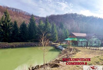 Casa de vacanta cu balta de peste de vanzare in Glogovet (Valea Lunga) - Blaj