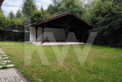 Vila de poveste din Valea Avrigului de vanzare - 7