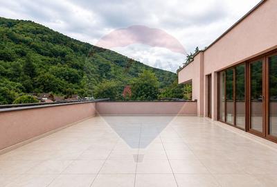 PENTHOUSE UNIC CU 168 MP UTILI SI 189 MP DE TERASE | SCHEI BRASOVUL - 18