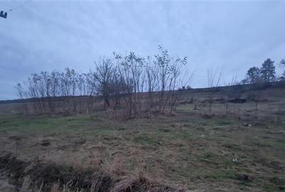 De vanzare teren 1,2 Ha in Laureni - 3