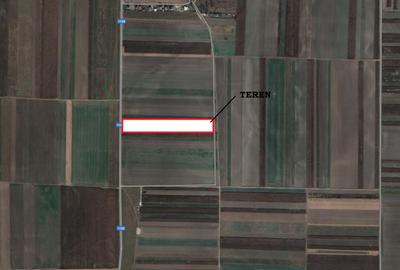 Teren extravilan, Prejmer, front asfalt - 5