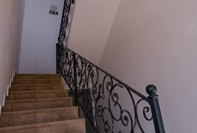 Afacere la cheie: Pensiune, Imobil 10 camere + 1 apartament, zona Iulius Mall - 8