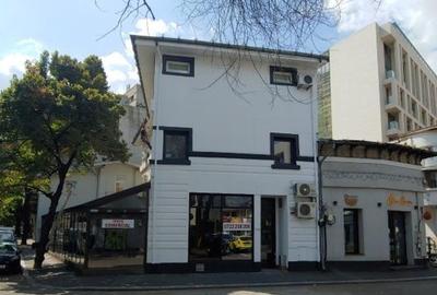 Spațiu comercial, 210 mp în Dacia