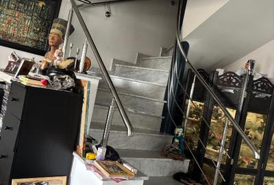 Kiseleff, proprietar vand penthouse cu vedere panoramica - 7