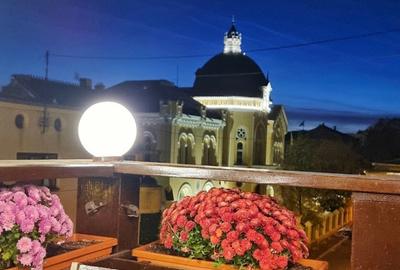 Cismigiu, priveliste superba,  vila consolidata si renovata total. - 6