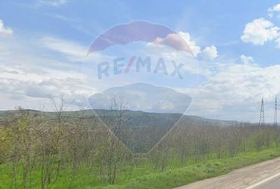 Teren 5,999mp Lancram / Drumul national - 2