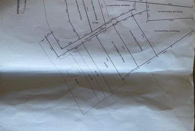 TEREN lac Caldarusani - 2