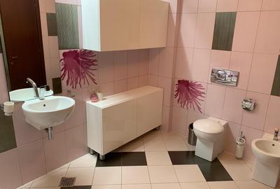 Penthouse lux 4 camere //terasa//Nordului-Herastrau - 17