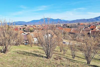 Comision 0%! Teren superb de 17000mp la 5 min de Castelul Bran, 13 euro/mp - 13