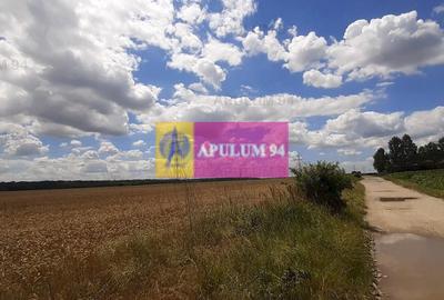 Teren 715mp în Snagov lângă Equestria - 21
