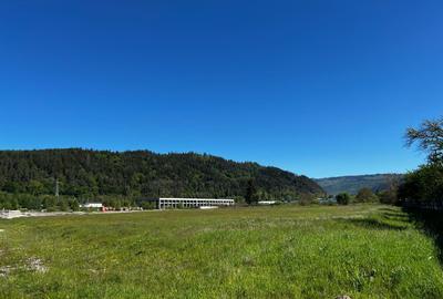 🏭 Terenuri pentru afaceri mici – Câmpulung Muscel, 500–1000 mp, 25 €/mp - 1