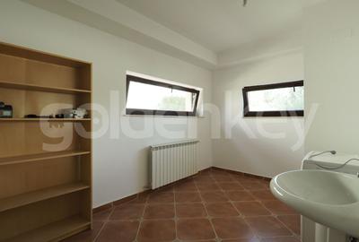 Vila individuala cu 5 camere, piscina exterioara si gradina amenajata - 19