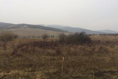 Teren Construcții intravilan de 15500 mp, în Cetate - 5