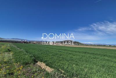Vânzare loturi teren intravilan 520 mp - Sat Ceauru - la 10 km de Târgu Jiu - 3