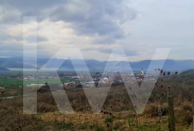 Apartament 3 camere, două băi, terasa 7 mp.-Natura la tine acasă! Cristian-SiBiU - 22