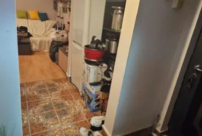 Lacul Tei,Parc,bloc reabilitat, DECOMANDAT,Renovat,Liber - 7