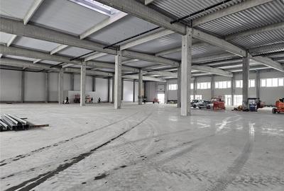 Spatii Industriale - 1296 mp - Productie - Depozitare - Distributie - E-Commerce - 6