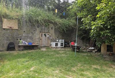 Casa spatioasa de vanzare in centrul satului Racaciuni – teren generos, livada, - 2
