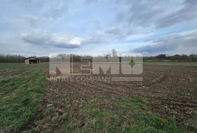 Teren extravilan 29000€ I 33.18 ari I Horodnic - 1