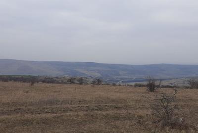 Teren agricol pentru investitii, zona Valea Calda -Iris - 7