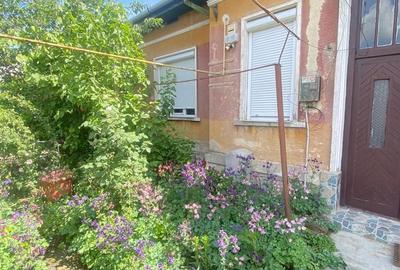 Apart la casa Bogdanestilor  curte  acces cu masina centrala proprie - 21