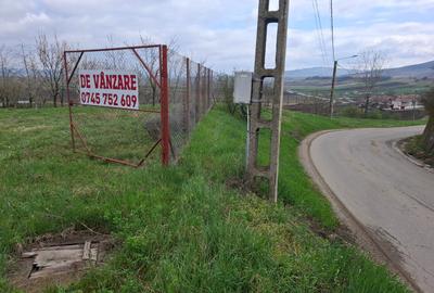 Teren Intravilan 1768 mp – Ocna Mureș - 1