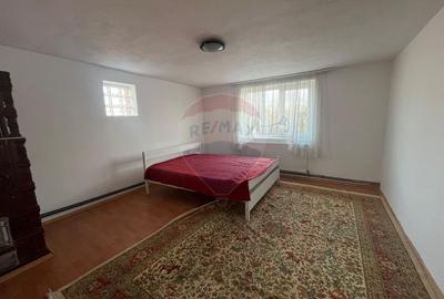 Casa cu 5 camere de vanzare in Priseaca 450 mp teren - 18