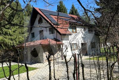 Vila de poveste din Valea Avrigului de vanzare - 37