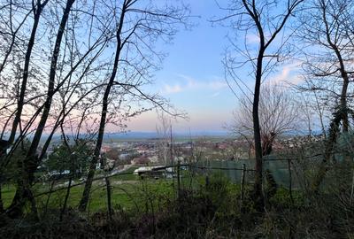 Teren Intravilan 495 mp – Zonă Liniștită - Strada Livezii - 7