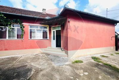 Casă 4 camere 1672 mp teren in Horia - 2