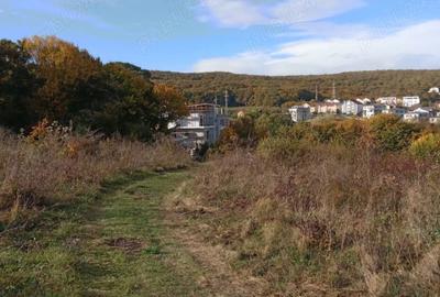 Teren intravilan de vanzare cu suprafata de 6510 mp cartierul Europa - 1