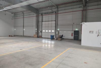 Hala moderna de inchiriat, 1.500 mp, complex Modulis, str. Narciselor - 2