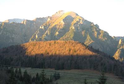 Vand teren intravilan 5500 mp PUZ, studiu GEO, ridicare TOPO, apa, gaz, curent - 6