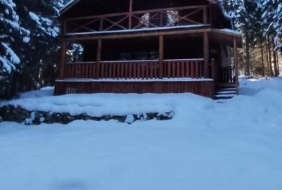Se vinde cabană la munte - 1