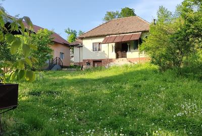 Casa+ casa batraneasca Surupate(Comuna Francesti, Valcea) - 2