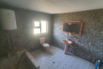 Casă S+P+M, 6 camere, teren 1500 mp - 5