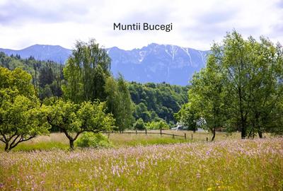 Teren intravilan plat in Bran, 1000 mp, vedere către Bucegi, utilitati - 7
