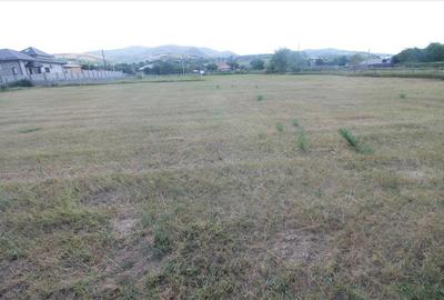 Teren 3000 mp intravilan - Sarata - 8