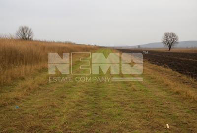 Teren agricol | de vânzare | 5000 mp² | comuna Satu Mare - 2